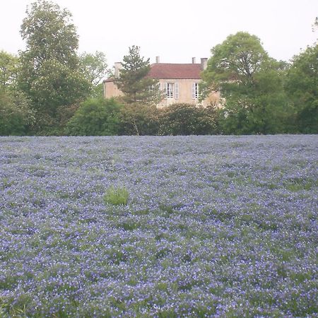 Bed and Breakfast Manoir Angle Blanzay-sur-Boutonne Экстерьер фото