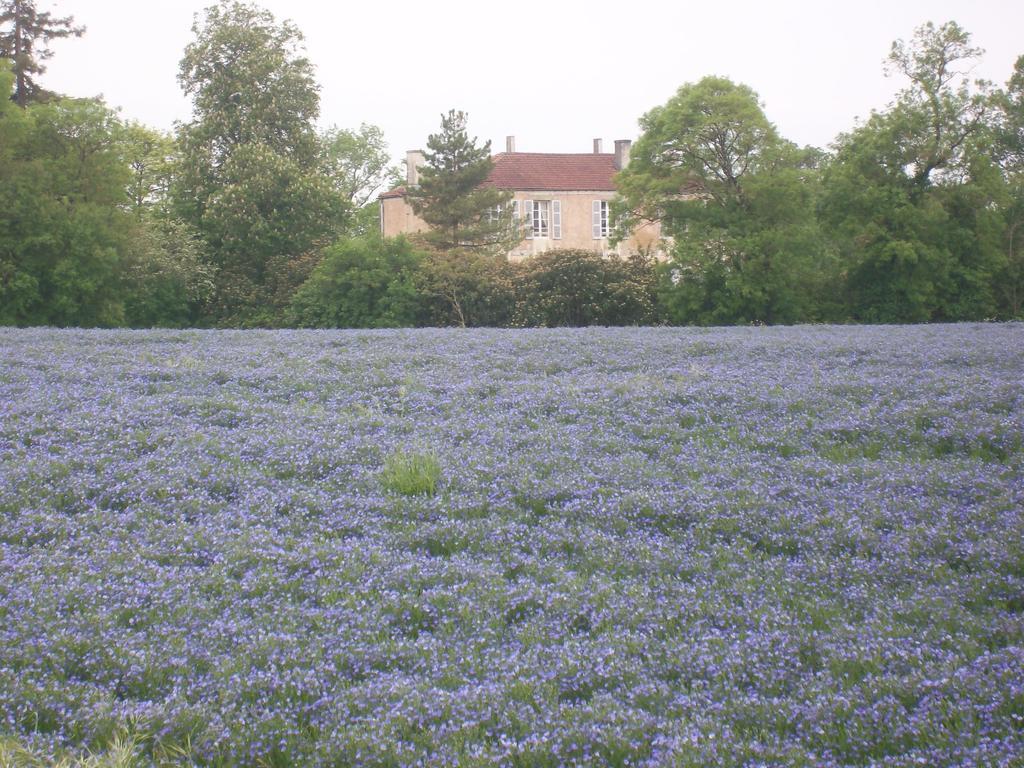 Bed and Breakfast Manoir Angle Blanzay-sur-Boutonne Экстерьер фото